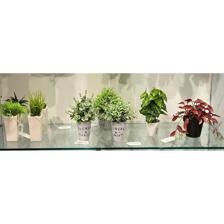 PLANTA C/POTE 12X12X23CM - 592-301399