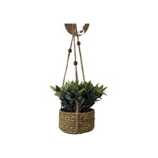 PLANT C/POT 18X18X15CM - 592-301403