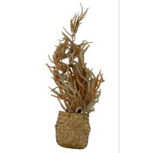 27"(68cm) Autumn style plant with black plastic pot in seagr - 592-301502