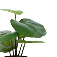 Monstera con pote 20X20X20CM - 592-301603