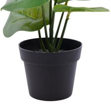 Monstera con pote 20X20X20CM - 592-301603