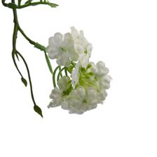 Verbena con pote 25X25X65CM - 592-301609