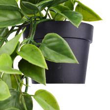 Planta colgante con pote - 592-301617