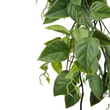Planta suspensa com vaso - 592-301618