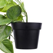 Planta suspensa com vaso - 592-301618