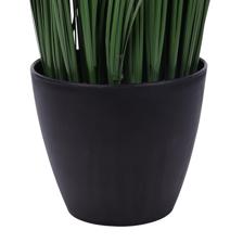 Cebollina con pote 20X20X45CM - 592-301621