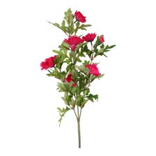 Rama Cosmo 20X15X66CM - 592-301625