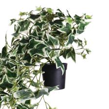 40100CM DECORATIVE HANGING PLANT WITH BLACK PLASTIC POT - 592-301633