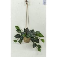 20(50CM) DECORATIVE HANGING PLANT WITH BLACK PLASTIC POT - 592-301636