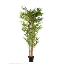 PLANTA ART. C/POTE 50x50x140 C - 592-311724