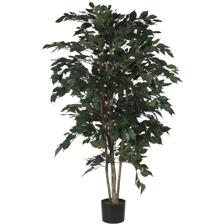 150cm Ficus tree with pot - 592-312100