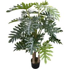 120cm Philodendron - 592-312106