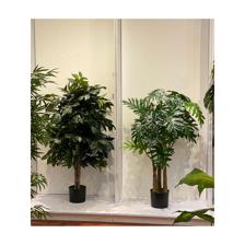 120cm Philodendron - 592-312106