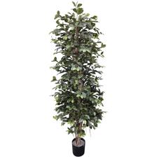 PLANTA ART. C/POTE 40X40X185 C - 592-312125
