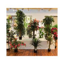 PLANTA ART. C/POTE 40X40X185 C - 592-312125