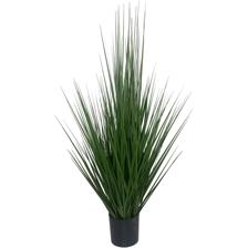 ARTE VEGETAL. C/POTE - 592-312171