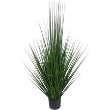 ARTE VEGETAL. C/POTE - 592-312171