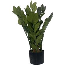 PLANTA ART. C/POTE - 592-312179