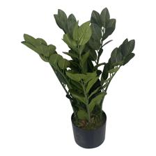 PLANTA ART. C/POTE - 592-312179
