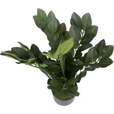 PLANTA ART. C/POTE - 592-312179