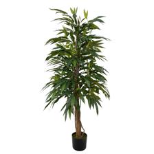 150cm Longifolia with pot - 592-312196