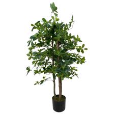 120cm Schefflera with pot - 592-312204