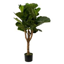 PLANTA C/POTE - 592-312215
