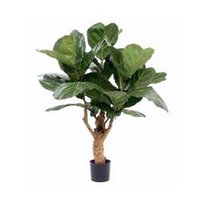 PLANTA C/POTE - 592-312215