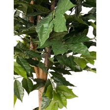 PLANTA C/POTE 45X45X120CM - 592-312217