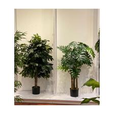 PLANTA C/POTE 45X45X120CM - 592-312217