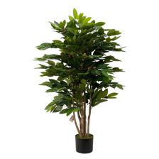 120cm Coffee tree with pot - 592-312218