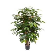 120cm Coffee tree with pot - 592-312218