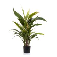 PLANTA COM VASO 45X45X75CM - 592-312221