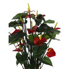70cm Anthurium with pot - 592-312224