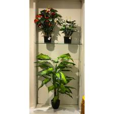 70cm Anthurium with pot - 592-312224