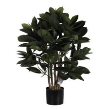 90cm Rubber tree with pot - 592-312231