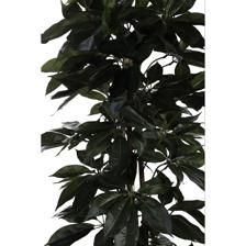 592-312235 - 592-312235