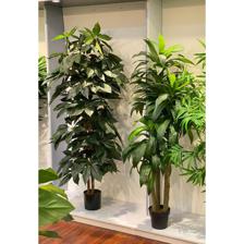 592-312235 - 592-312235