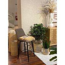 100cm Schefflera pot - 592-312236