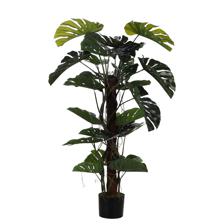 PLANTA COM VASO - 592-312240