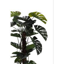 PLANTA COM VASO - 592-312240