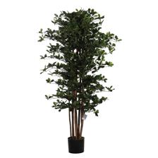 PLANTA C/POTE 53X53X150CM - 592-312243