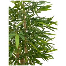 150cm Buhdda bamboo with pot - 592-312252