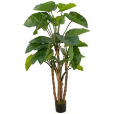 DECORAÇÃO DE ALOCASIA - 592-312255