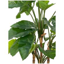 DECORAÇÃO DE ALOCASIA - 592-312255