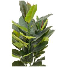 ARBOL C/POTE - 592-312259