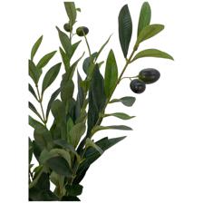 RAMO DE OLIVEIRA 35X35X60CM - 592-312270