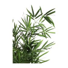 BAMBU ART. C/POTE 30X30X120CM - 592-312279