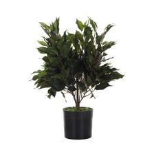 ARTE VEGETAL. VASO C/ 28X28X40 CM - 592-312283