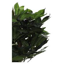 ARTE VEGETAL. VASO C/ 28X28X40 CM - 592-312283